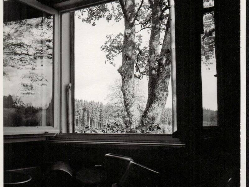 Ein Schwarz-Weiß-Foto zeigt den Blick aus einem geöffneten Fenster auf einen großen Baum und einen Wald im Hintergrund.
