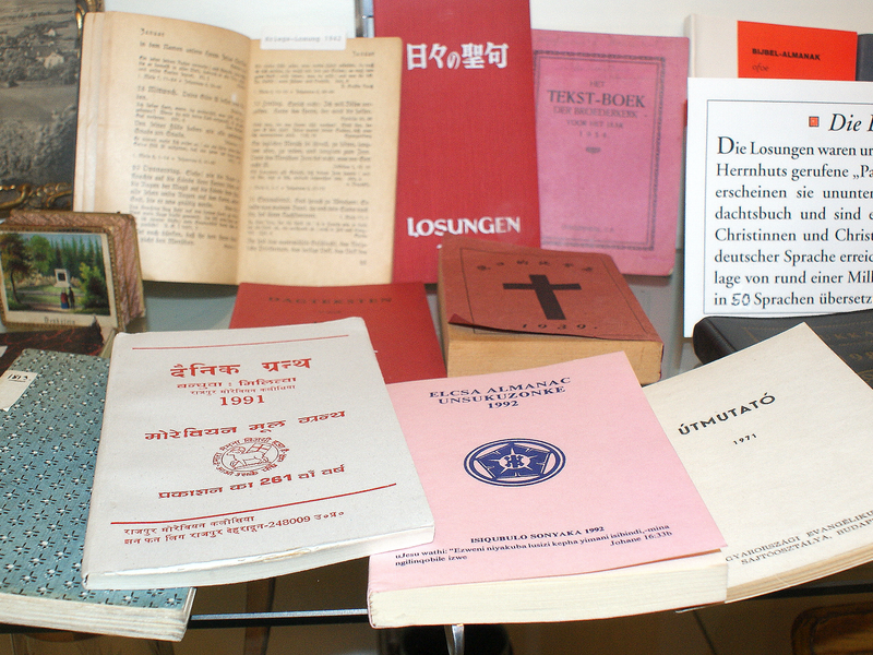 Eine Vitrine zeigt eine Sammlung von unterschiedlich gestalteten Büchern und Broschüren, darunter einige mit Titeln in verschiedenen Sprachen und Schriften.